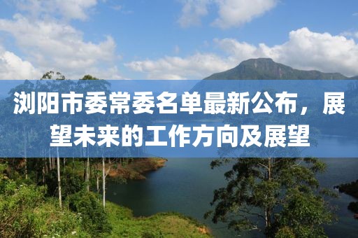 瀏陽市委常委名單最新公布，展望未來的工作方向及展望