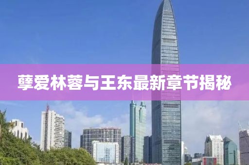 孽愛林蓉與王東最新章節(jié)揭秘