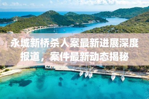 永城新橋殺人案最新進(jìn)展深度報(bào)道，案件最新動(dòng)態(tài)揭秘