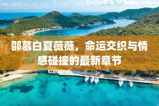邵慕白夏薇薇，命運交織與情感碰撞的最新章節(jié)