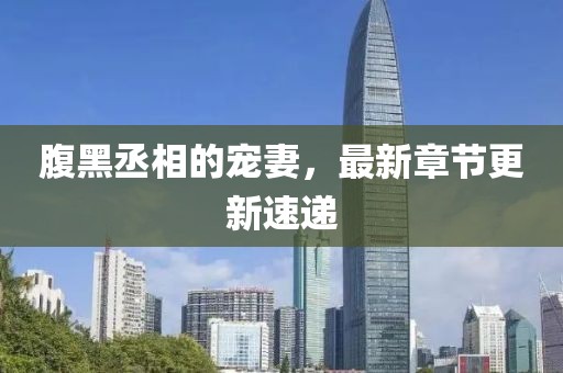 腹黑丞相的寵妻，最新章節(jié)更新速遞