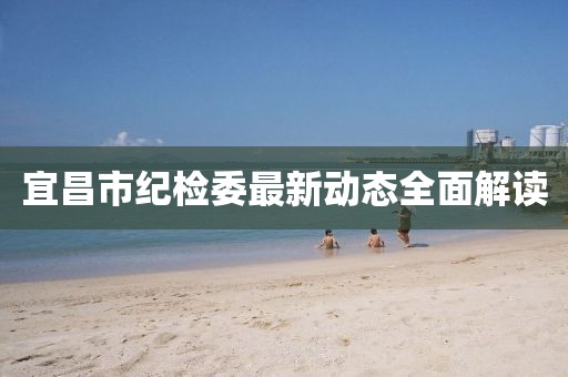 宜昌市紀(jì)檢委最新動態(tài)全面解讀