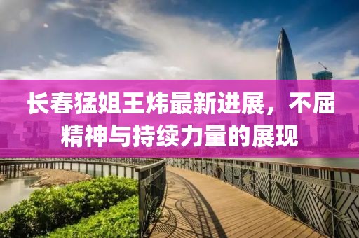 長春猛姐王煒最新進展，不屈精神與持續(xù)力量的展現(xiàn)