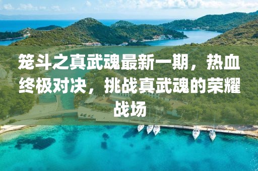 籠斗之真武魂最新一期，熱血終極對決，挑戰(zhàn)真武魂的榮耀戰(zhàn)場