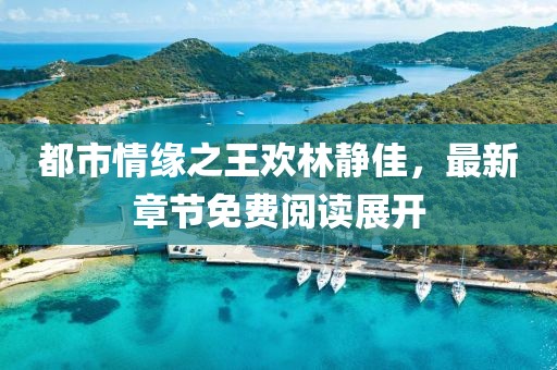 都市情緣之王歡林靜佳，最新章節(jié)免費(fèi)閱讀展開