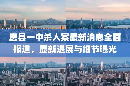 唐縣一中殺人案最新消息全面報(bào)道，最新進(jìn)展與細(xì)節(jié)曝光