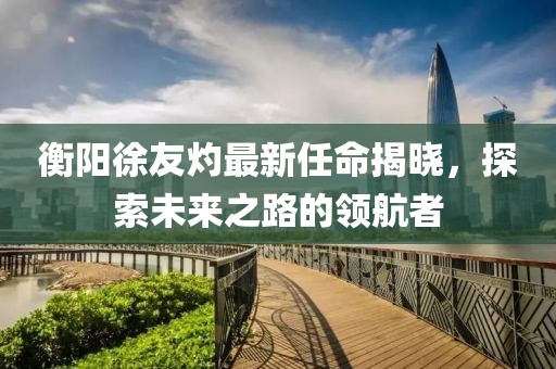 衡陽徐友灼最新任命揭曉，探索未來之路的領(lǐng)航者