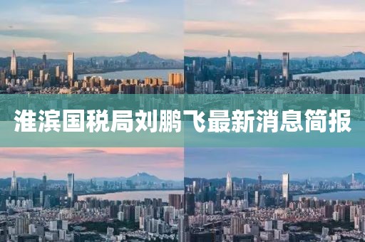 淮濱國稅局劉鵬飛最新消息簡報
