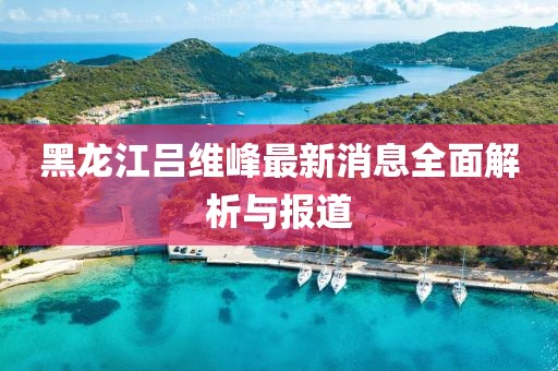 黑龍江呂維峰最新消息全面解析與報道