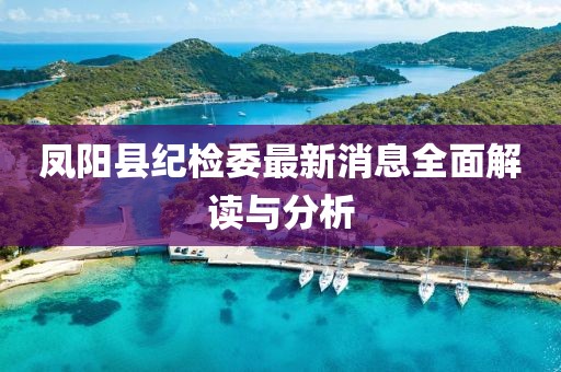鳳陽縣紀檢委最新消息全面解讀與分析