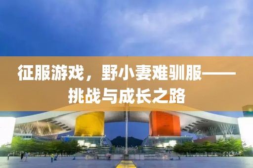 征服游戲，野小妻難馴服——挑戰(zhàn)與成長之路