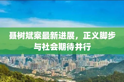 聶樹斌案最新進(jìn)展，正義腳步與社會期待并行
