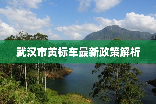 武漢市黃標車最新政策解析