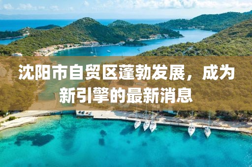 沈陽市自貿(mào)區(qū)蓬勃發(fā)展，成為新引擎的最新消息