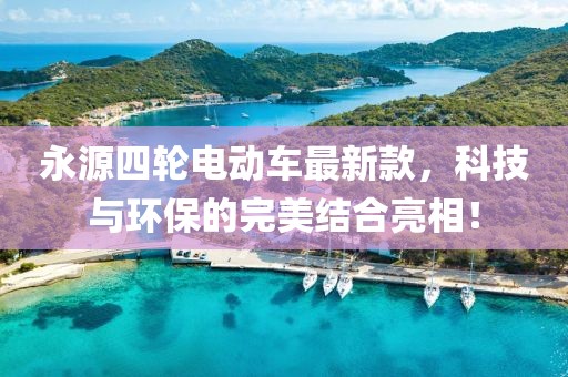 永源四輪電動(dòng)車最新款，科技與環(huán)保的完美結(jié)合亮相！