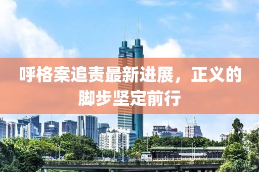呼格案追責(zé)最新進(jìn)展，正義的腳步堅(jiān)定前行