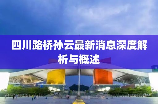 四川路橋孫云最新消息深度解析與概述