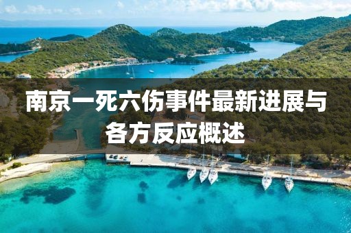 南京一死六傷事件最新進展與各方反應(yīng)概述