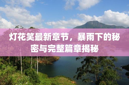 燈花笑最新章節(jié)，暴雨下的秘密與完整篇章揭秘