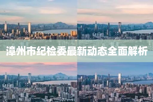 漳州市紀(jì)檢委最新動態(tài)全面解析