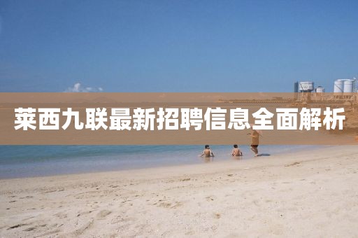 萊西九聯(lián)最新招聘信息全面解析