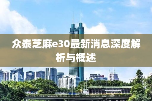 眾泰芝麻e30最新消息深度解析與概述