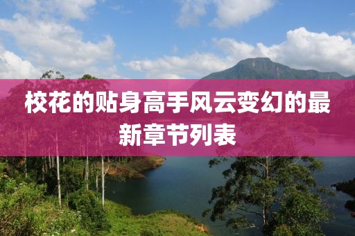 校花的貼身高手風(fēng)云變幻的最新章節(jié)列表