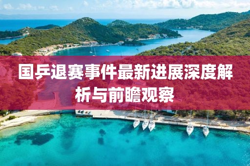 國(guó)乒退賽事件最新進(jìn)展深度解析與前瞻觀察