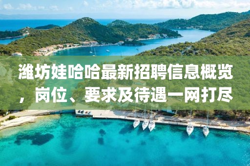 濰坊娃哈哈最新招聘信息概覽，崗位、要求及待遇一網(wǎng)打盡