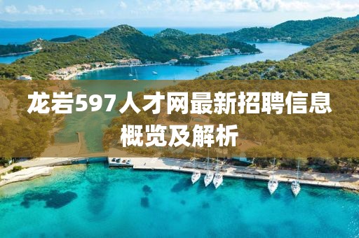 龍巖597人才網(wǎng)最新招聘信息概覽及解析