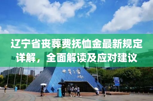 遼寧省喪葬費撫恤金最新規(guī)定詳解，全面解讀及應(yīng)對建議