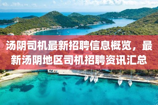 湯陰司機(jī)最新招聘信息概覽，最新湯陰地區(qū)司機(jī)招聘資訊匯總