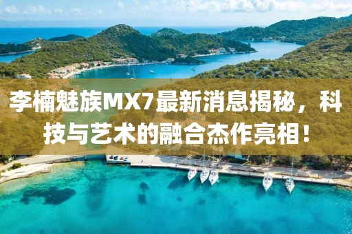 李楠魅族MX7最新消息揭秘，科技與藝術(shù)的融合杰作亮相！