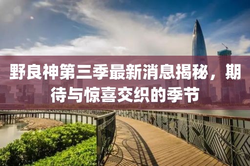 野良神第三季最新消息揭秘，期待與驚喜交織的季節(jié)