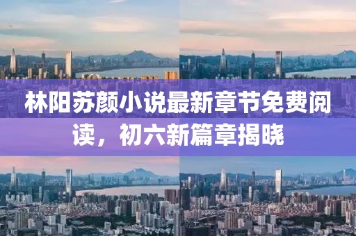 林陽蘇顏小說最新章節(jié)免費閱讀，初六新篇章揭曉