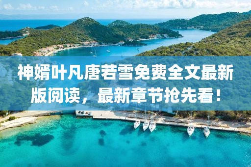 神婿葉凡唐若雪免費全文最新版閱讀，最新章節(jié)搶先看！