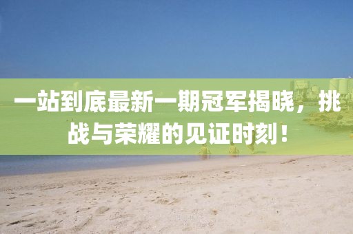 一站到底最新一期冠軍揭曉，挑戰(zhàn)與榮耀的見證時刻！