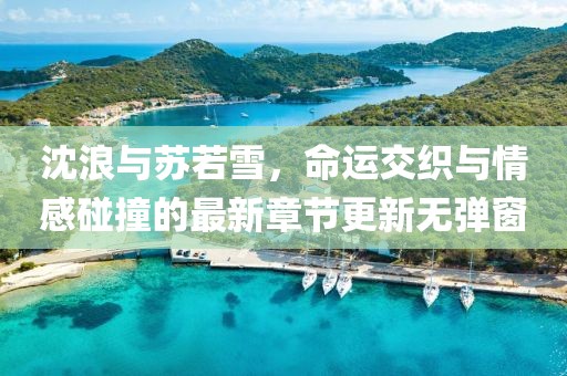 沈浪與蘇若雪，命運交織與情感碰撞的最新章節(jié)更新無彈窗