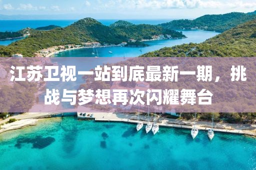 江蘇衛(wèi)視一站到底最新一期，挑戰(zhàn)與夢想再次閃耀舞臺