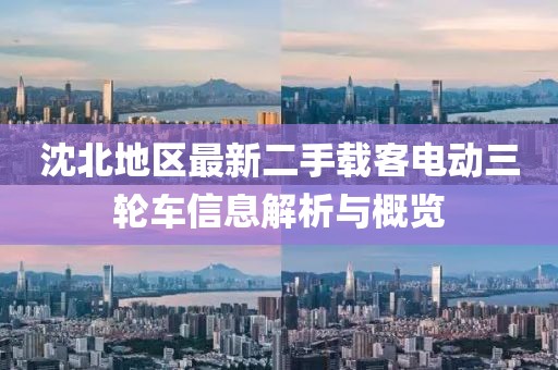 沈北地區(qū)最新二手載客電動三輪車信息解析與概覽