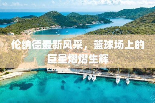 倫納德最新風(fēng)采，籃球場(chǎng)上的巨星熠熠生輝