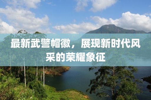 最新武警帽徽，展現(xiàn)新時(shí)代風(fēng)采的榮耀象征