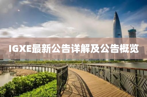 IGXE最新公告詳解及公告概覽