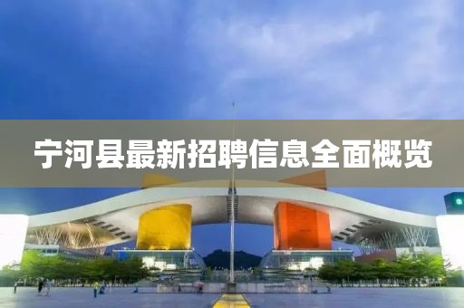寧河縣最新招聘信息全面概覽