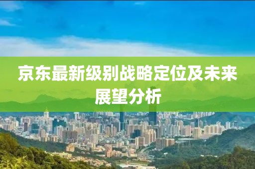 京東最新級別戰(zhàn)略定位及未來展望分析