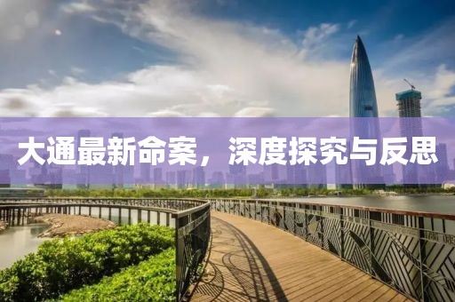 大通最新命案，深度探究與反思