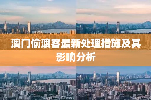 澳門偷渡客最新處理措施及其影響分析