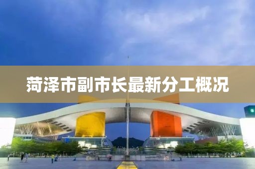 菏澤市副市長最新分工概況