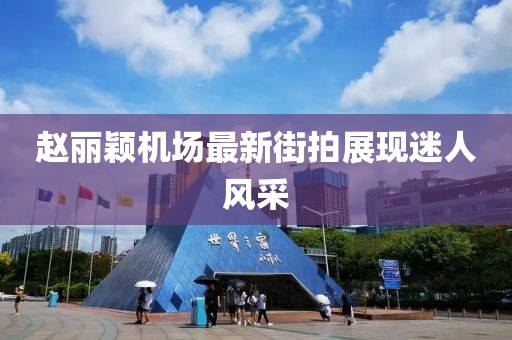 趙麗穎機場最新街拍展現(xiàn)迷人風(fēng)采