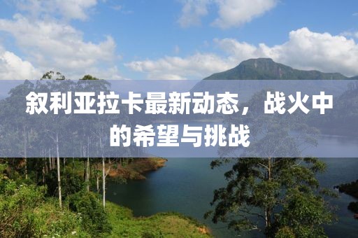 敘利亞拉卡最新動態(tài)，戰(zhàn)火中的希望與挑戰(zhàn)